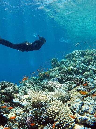Hurghada