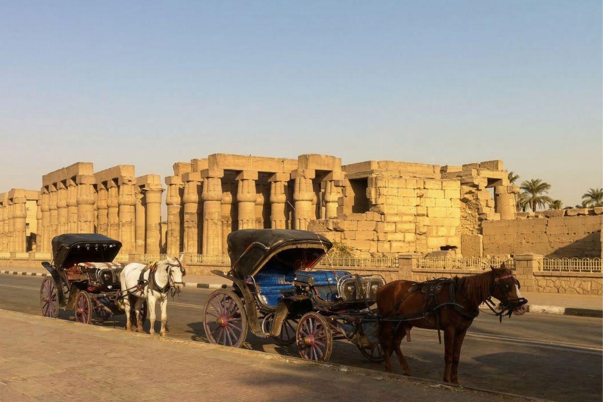 Aswan Authentic City Tour by Horse Carriage