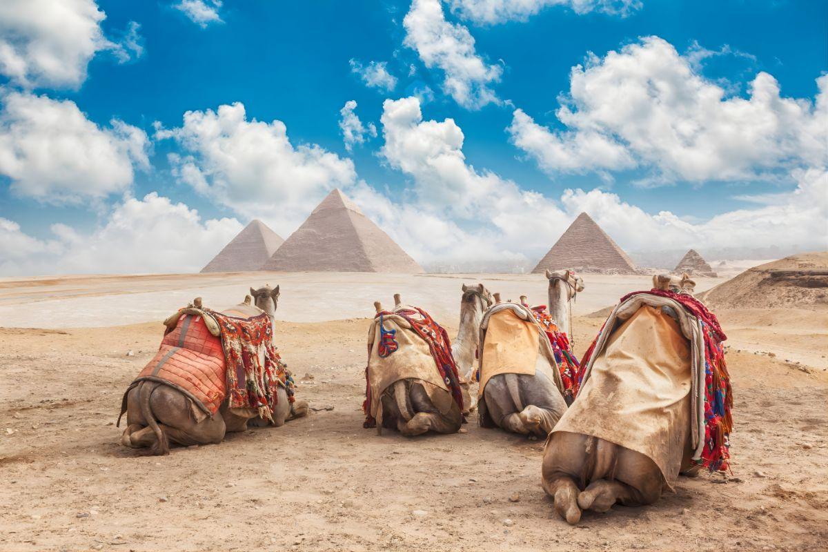 Cairo Private Day Tour from Hurghada by Plane: Pyramids & Grand Egyptian Museum