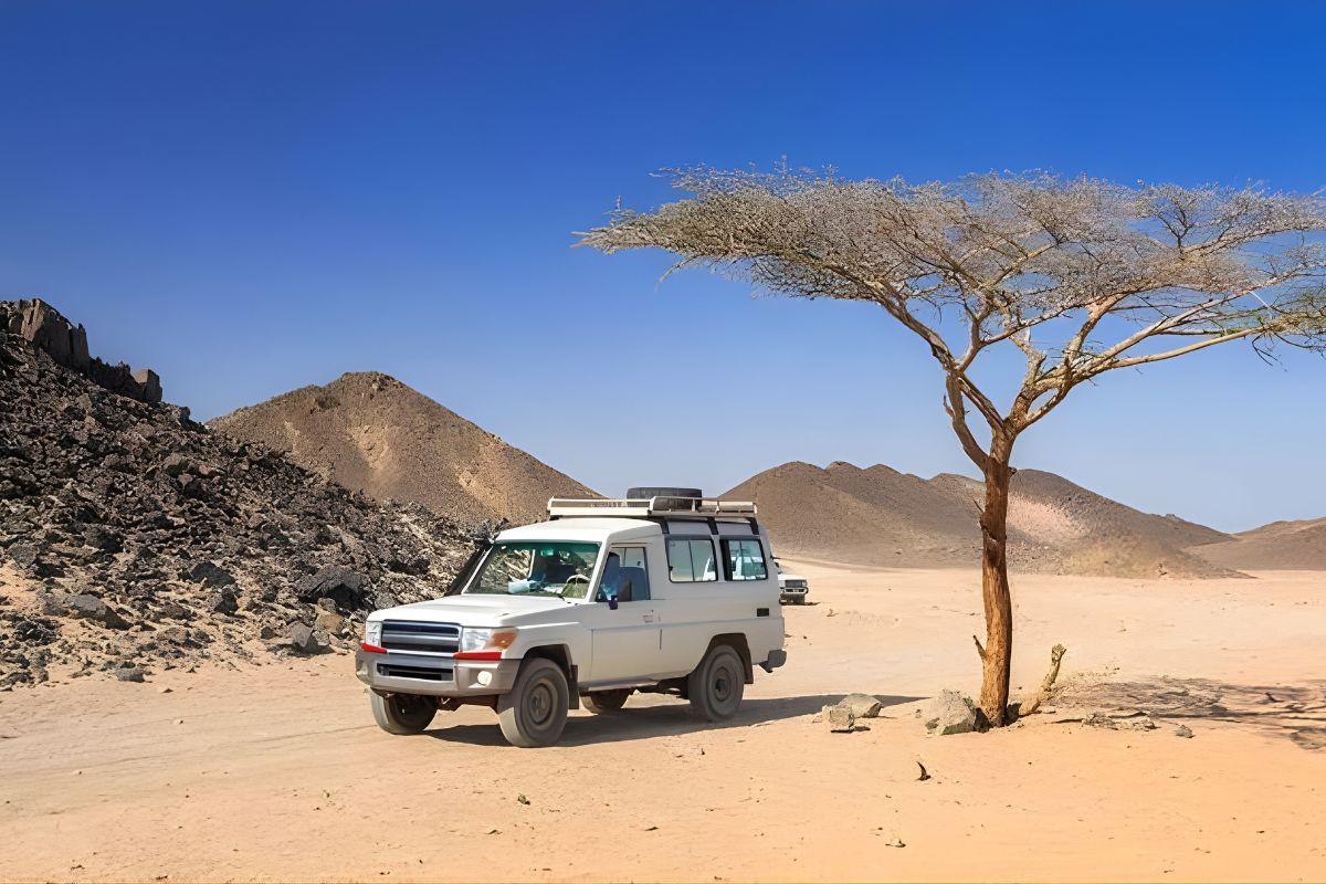 Hurghada Bedouin Desert Safari by Jeep 4x4: Sunset, Camels & BBQ