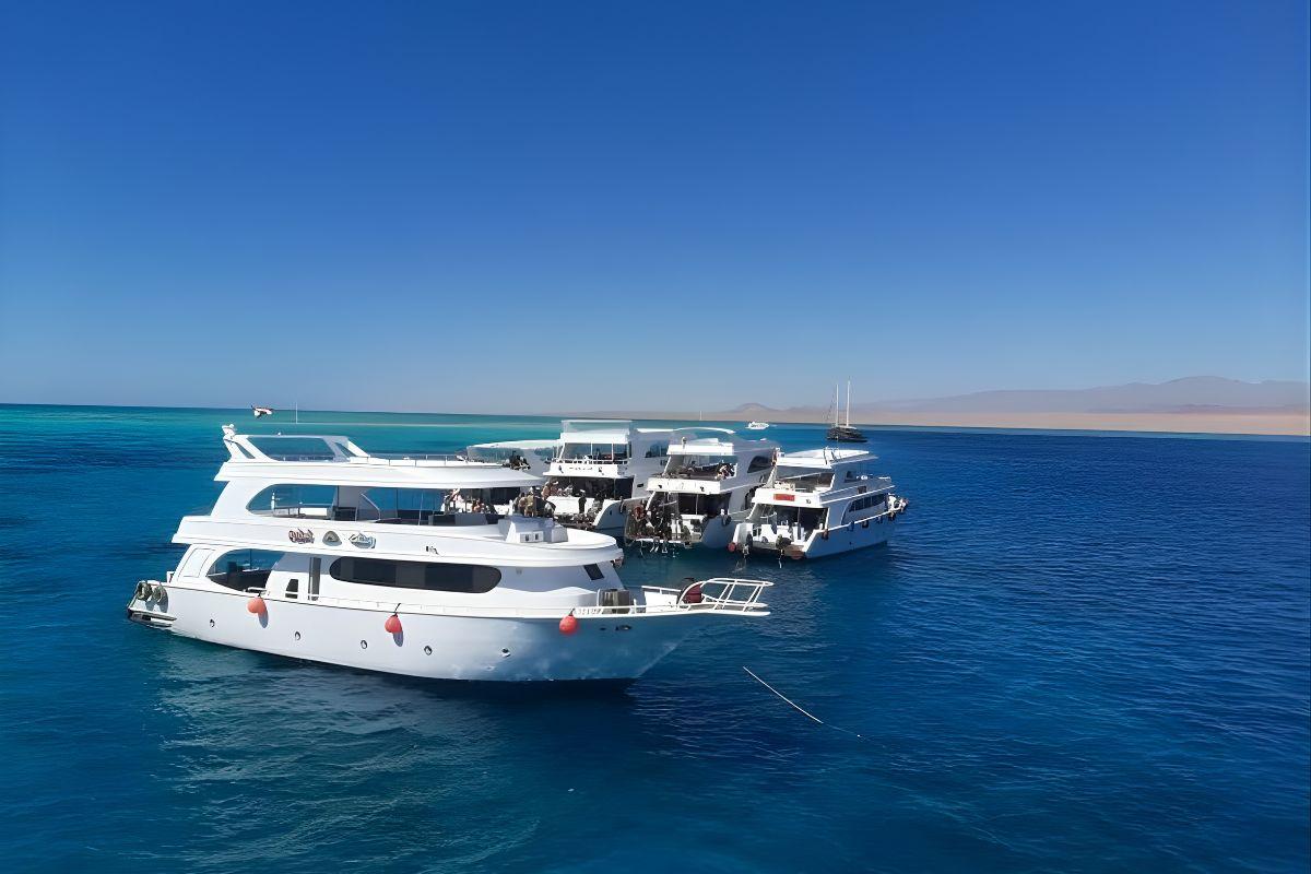 Excursion en Yacht de Luxe : Ras Mohamed et l'Île Blanche