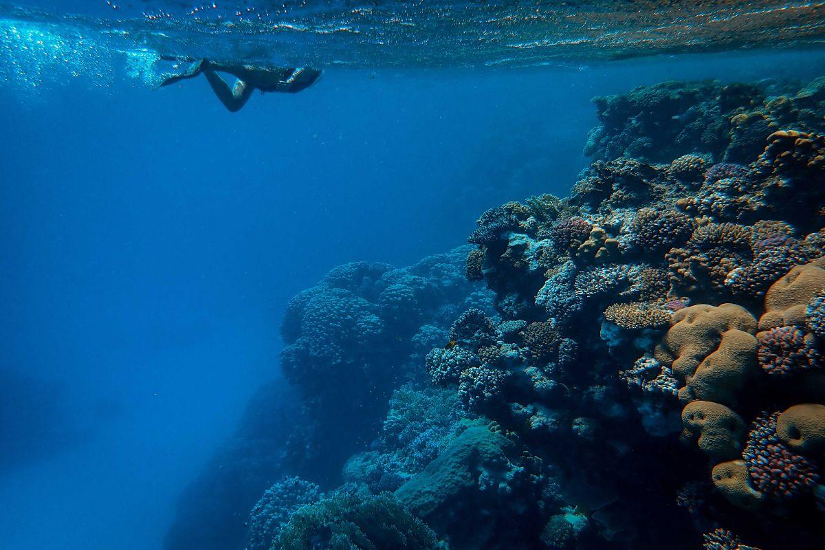 Hurghada: Royal Seascope Submarine Cruise with Snorkeling Stop